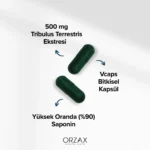 Orzax Tribulus Terrestris 60 Kapsül