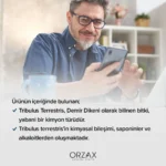 Orzax Tribulus Terrestris 60 Kapsül