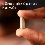 Solgar Saw Palmetto Berries 100 Kapsül - Görsel 4