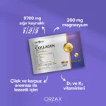 Orzax Day2Day Collagen Mag Plus 45 Saşe 12,85 gr