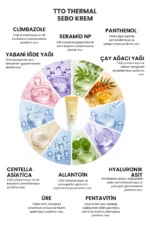 TTO Thermal Sebo Yoğun Nemlendirici Krem 70 ml - Görsel 3