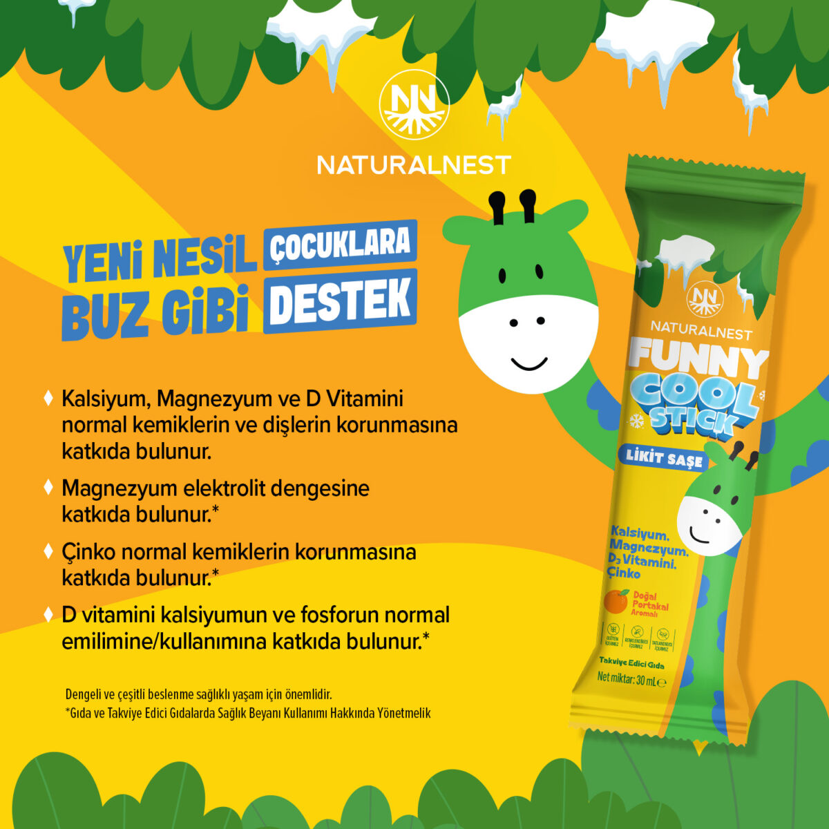 Naturalnest Funny Cool Stick Takviye Edici Gıda 15 Saşe - Görsel 3
