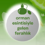 Dalin orman esintisi bebek kolonyasi 100 ml