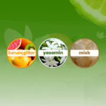 Dalin orman esintisi bebek kolonyasi 100 ml