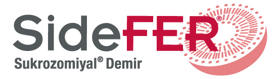 Sidefer logosu