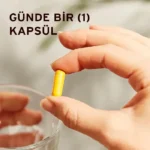 Solgar Turmeric Root Extract Zerdeçal Kök Ekstresi 400 mg 60 Bitkisel Kapsül
