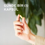 Solgar vitamin b complex 50 50 bitkisel kapsul