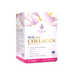 Wellcare collagen beauty boost takviye edici gida 60 tablet