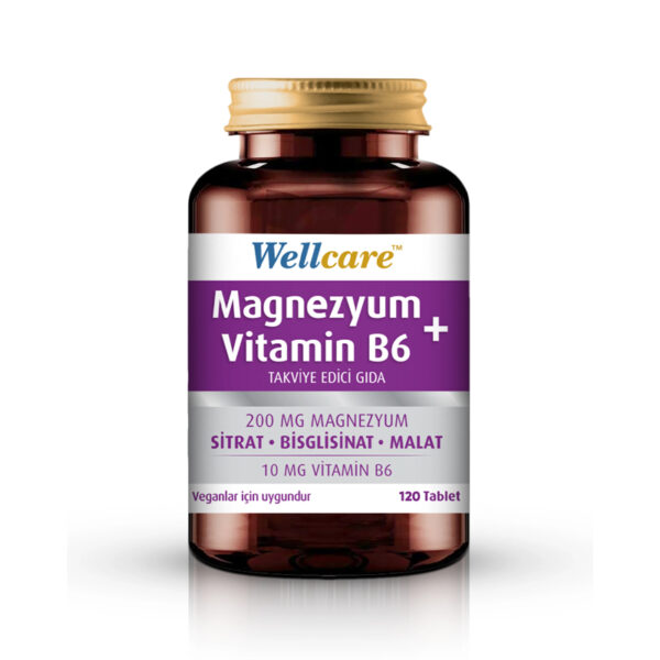 Wellcare magnezyum vitamin b6 takviye edici gida 120 tablet