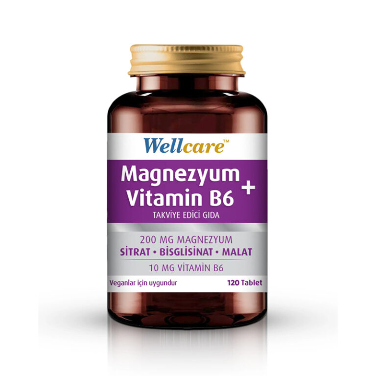 Wellcare magnezyum vitamin b6 takviye edici gida 120 tablet