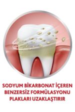 Parodontax Geliştirilmiş Tat Florürlü Diş Macunu 75ml - Görsel 4